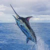 Big Game Fishing - Image 3