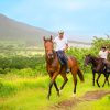 Horse Riding - Image 5