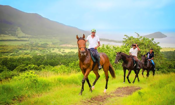 Horse Riding - Image 5