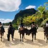 Horse Riding - Image 8