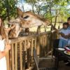Casela Nature Park - Image 5