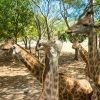 Casela Nature Park - Image 3