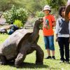 Casela Nature Park - Image 2