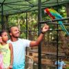 Casela Nature Park - Image 27