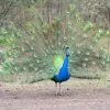 Casela Nature Park - Image 26