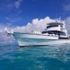 Big Game Fishing - Image 5