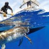 Big Game Fishing - Image 2