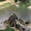 Crocodile Park / Tea Route - Image 4