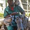 Crocodile Park / Tea Route - Image 10