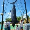 Big Game Fishing - Image 12