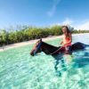Horse Riding - Image 2