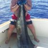 Big Game Fishing - Image 11