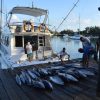 Big Game Fishing - Image 9