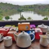 Crocodile Park / Tea Route - Image 15