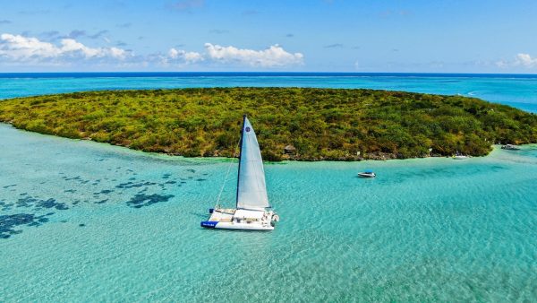 Catamaran / Yacht