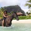 Horse Riding - Image 4