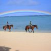 Horse Riding - Image 9