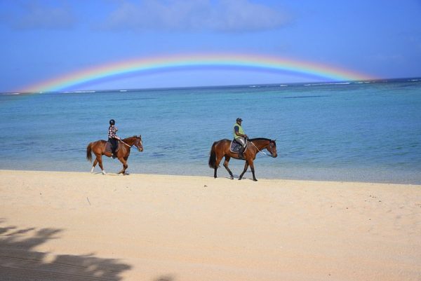 Horse Riding - Image 9